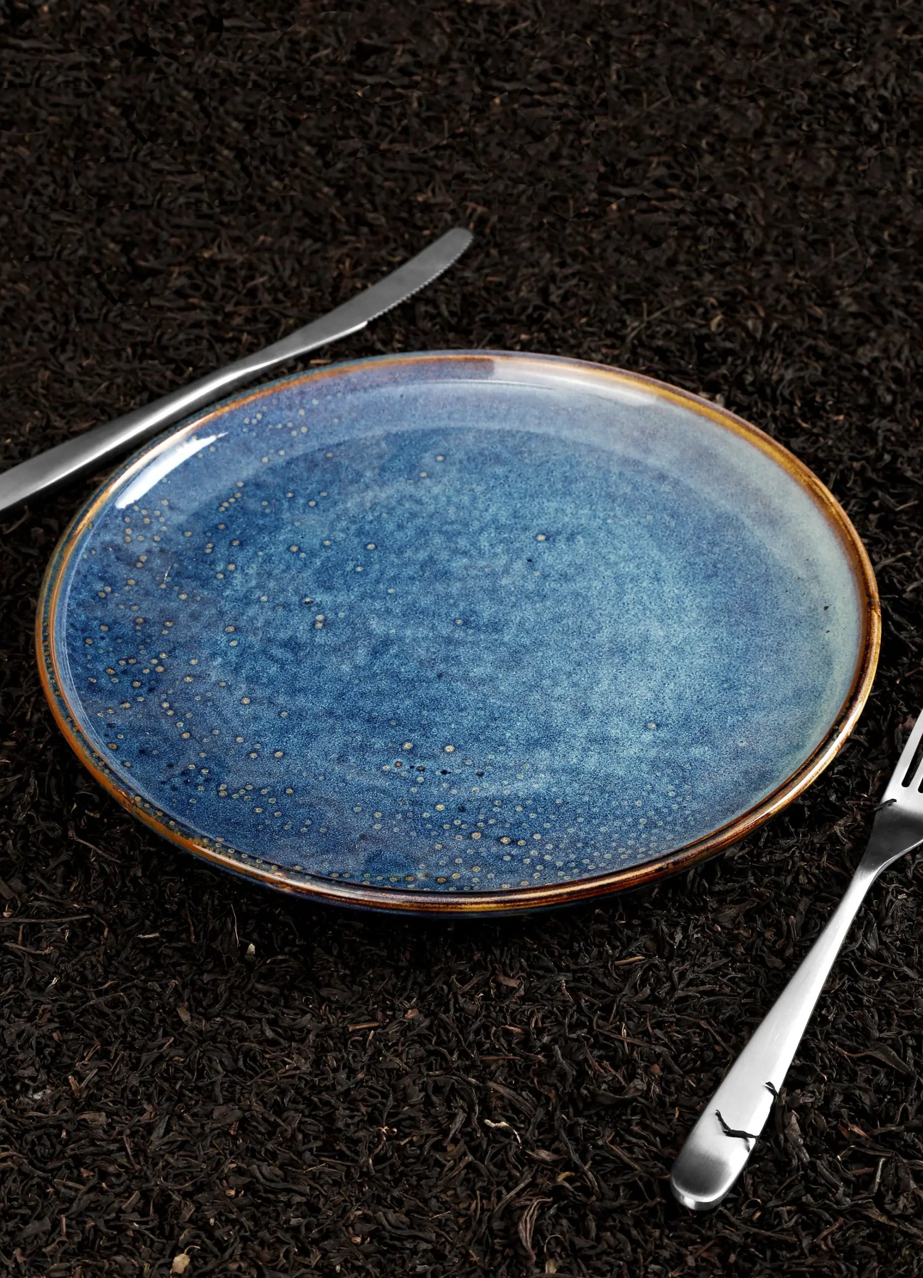 Aqua Plate (Set of 4) - Image 2